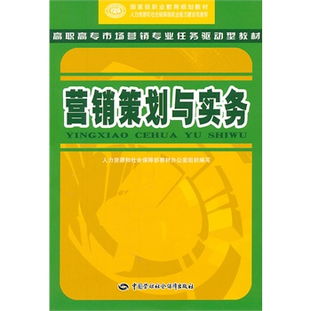 營銷策劃與實務 構(gòu)建高效市場營銷策劃的框架與實踐